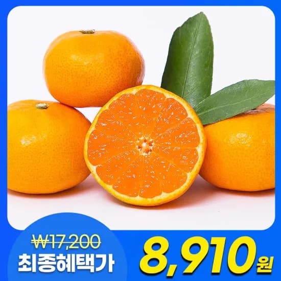 제주 서귀포 노지감귤 4.5kg 중대과