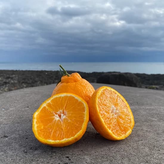 제주산 노지 한라봉 2kg