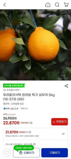 한라봉 18-37과 내외