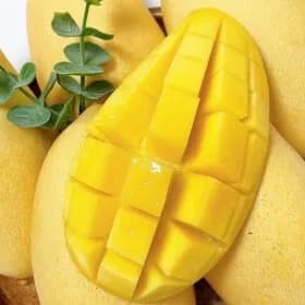 골드망고 2.5kg 18브릭스 이상