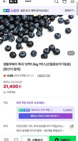 칠레산 생 블루베리 특대과 125g x 12팩 31,400원