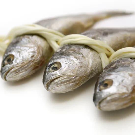 영광굴비 선물세트 20마리