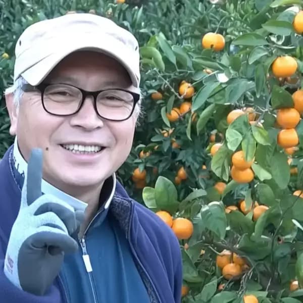 제주 고당도 타이벡 감귤 4.5kg S-L 사이즈