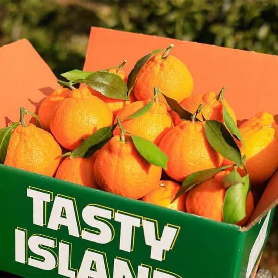 한라봉 4kg 실속