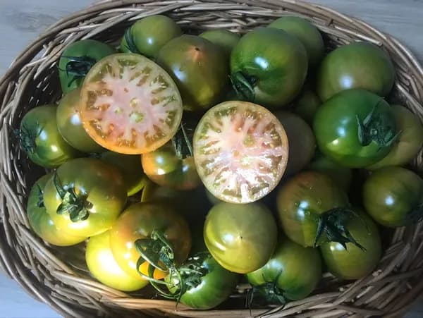 부산 대저 토마토 2.5kg