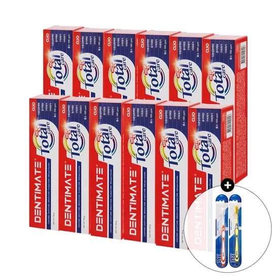 덴티메이트 올인원 토탈케어 150g 12개 초극세모칫솔 2개