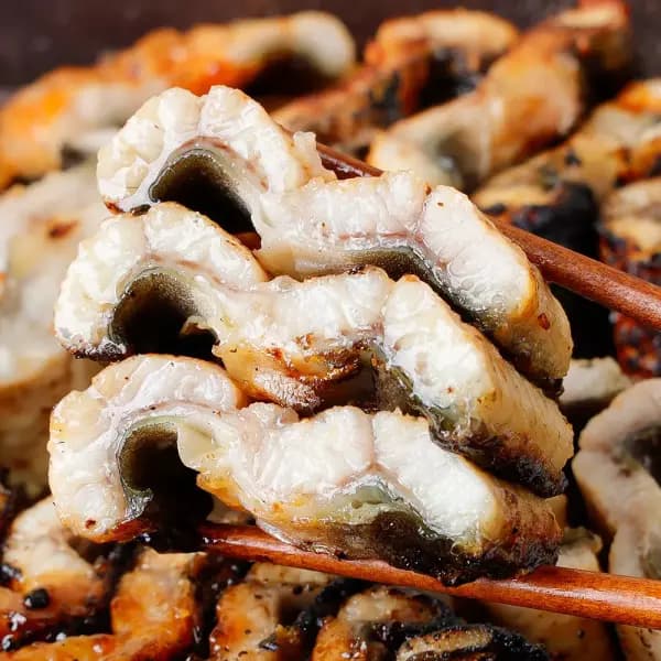 고창 풍천장어 자포니카 민물장어 1kg