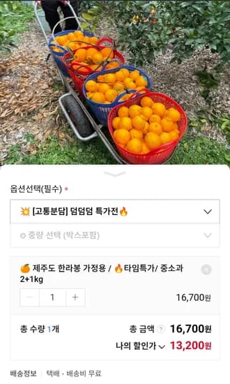 제주도 한라봉 중소과 3kg