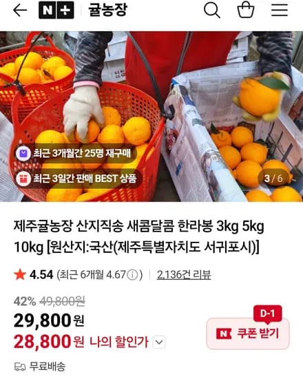 제주 한라봉 중소과 10kg
