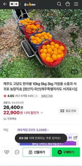 제주도 고당도 한라봉 3kg