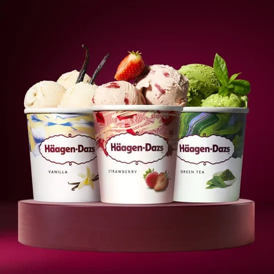 하겐다즈 파인트 3개 외 하겐다즈 스틱바 5개 체험팩