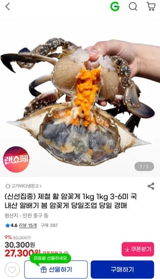 제철 활 암꽃게 1kg 1kg 3-6미 국내산 알배기 봄 암꽃게