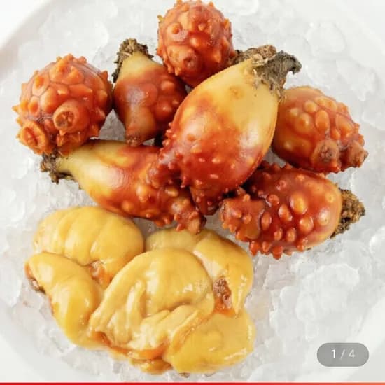 국내산 통영 깐멍게 500g (9,520원 / 무배)