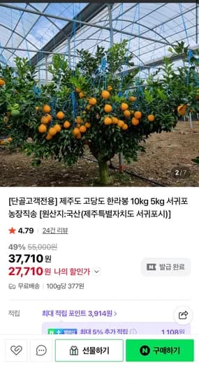 제주 고당도 서귀포 한라봉 5kg (27,210원/무료)