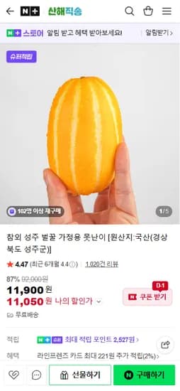참외 성주 벌꿀 가정용 못난이