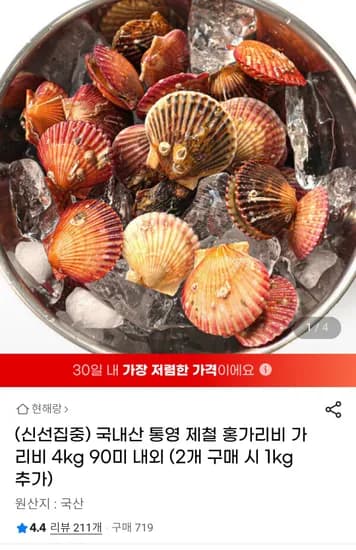 국내산 통영 제철 홍가리비 4kg (9,000원 / 무료배송)