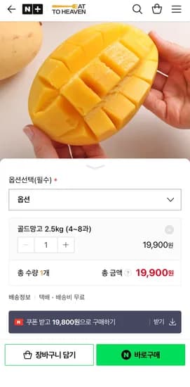 태국 골드망고 남독마이 2.5kg
