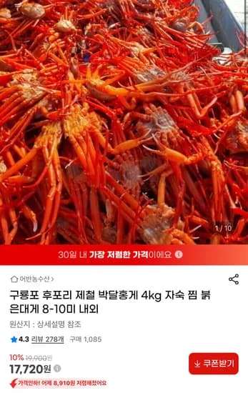 구룡포 후포리 제철 박달홍게 4kg 8-10미