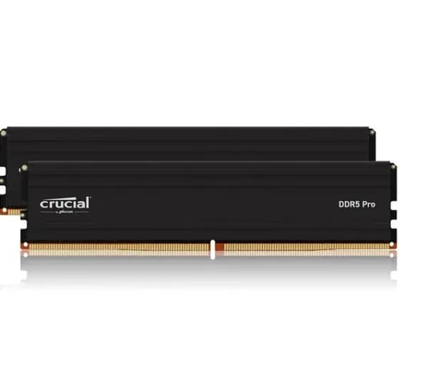 마이크론 Crucial DDR5 PC5-44800 CL46 PRO 대원씨티에스