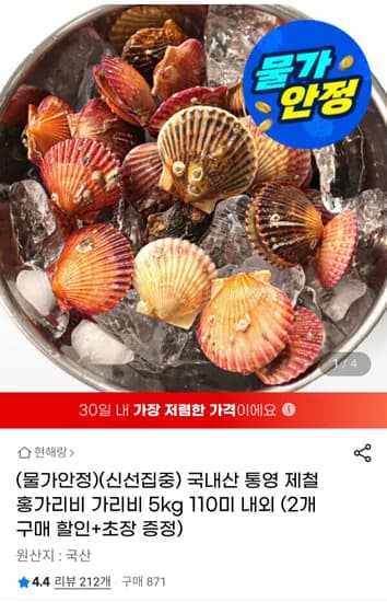 국내산 통영 제철 홍가리비 3kg (8,930원 / 무배)