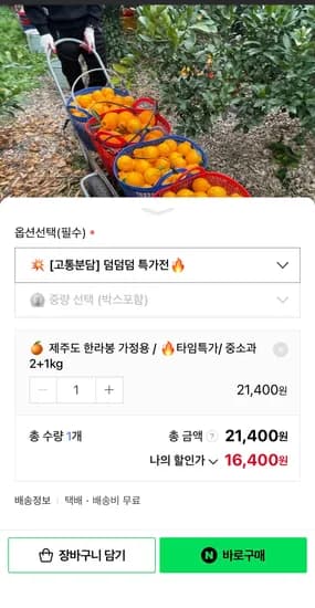 제주 가정용 한라봉 3kg (16,400원/무료)