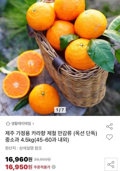 제주 카라향 중소과 4.5kg(45-60과 내외)