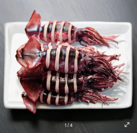 통찜용 오징어 1kg (10,920원 / 무배)