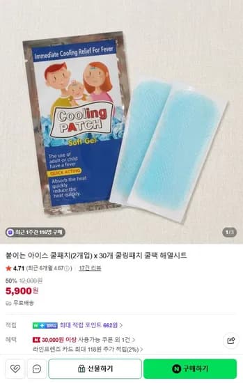 붙이는 아이스 쿨패치(2개입)x30개 쿨링패치 해열시트