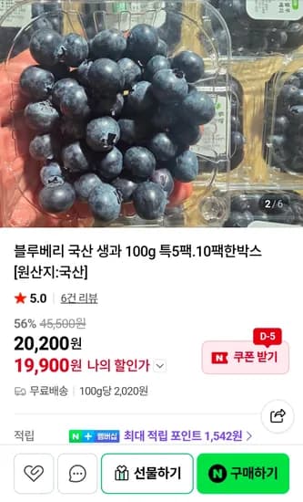 국산 블루베리 생과 100g 특품 5팩