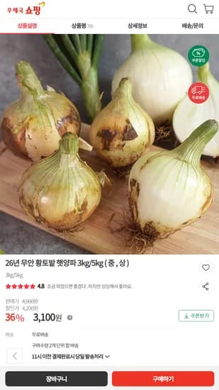 무안 황토밭 햇양파 3kg