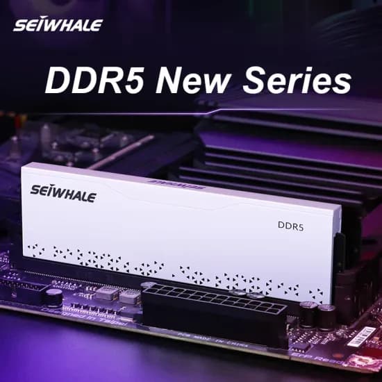 세이화레 DDR5 램 16GB 4800MHz 화이트