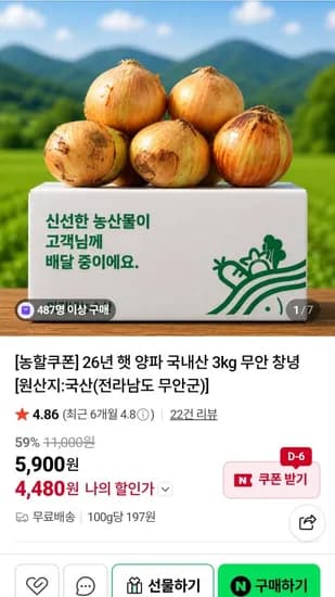 26년 햇 양파 5kg
