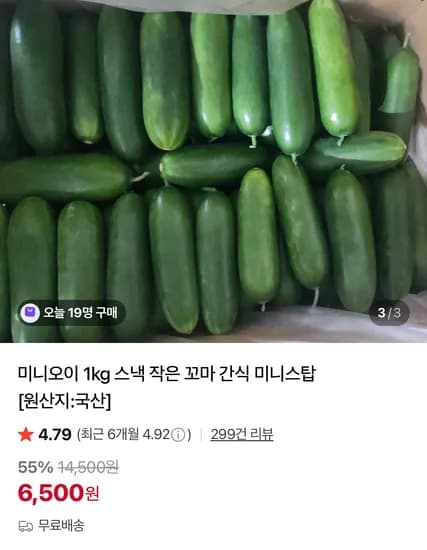 미니오이 1kg