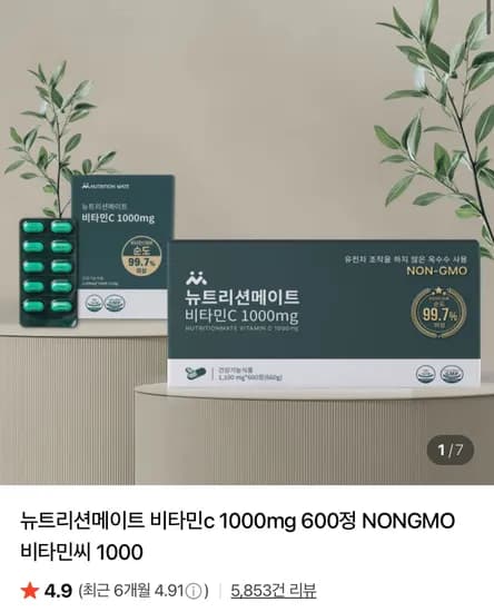 뉴트리션메이트 비타민C 1000mg 100정
