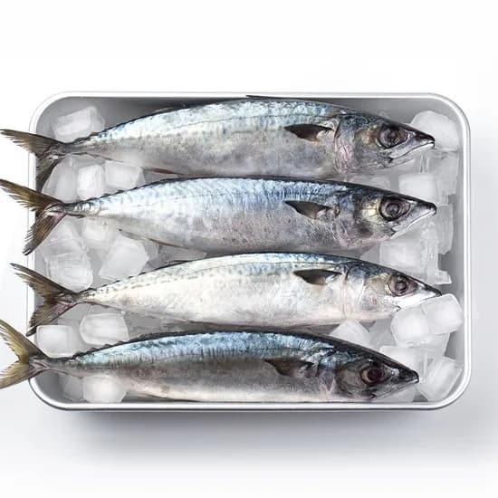 내산 부산 자반 손질 특대 고등어 10미 3.5kg 내외