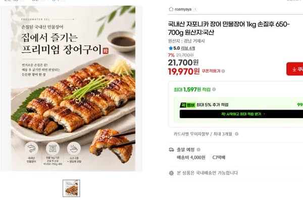 내산 자포니카 민물장어 1kg 손질후