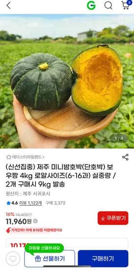 제주 미니밤호박 보우짱 4kg (11,960원 / 무배)