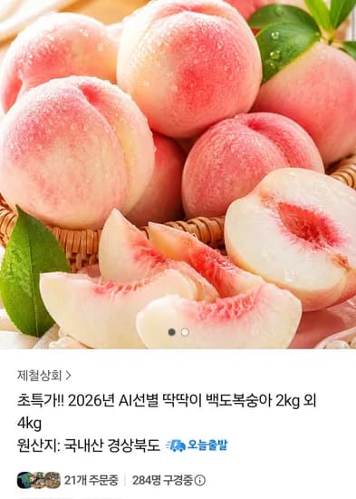 2026 백도 복숭아 2kg (10,900원 / 무료배송)