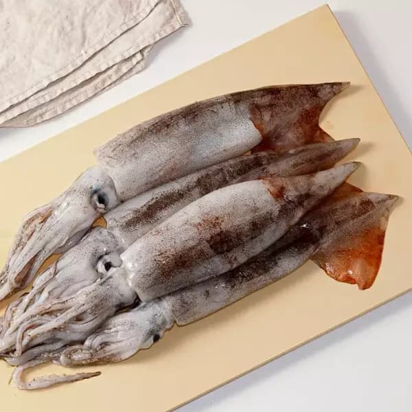 국내산 당일조업 서해안 생물 오징어 중사이즈 4~5미 (14,900원/무배)