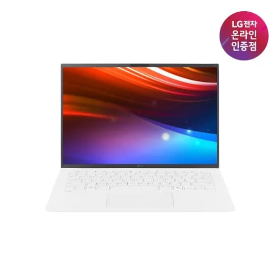 LG 그램 14ZD95U-GX5WK