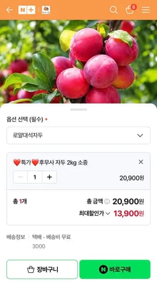 후무사 자두 2KG 중소과