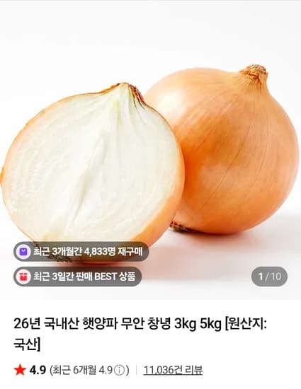 국내산 햇 양파 대사이즈 1.5kg