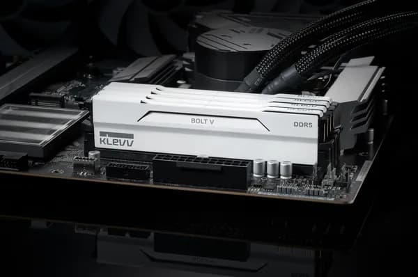 클레브 6400 CL32 BOLT V 화이트 AMD 패키지 32GB 16Gx2