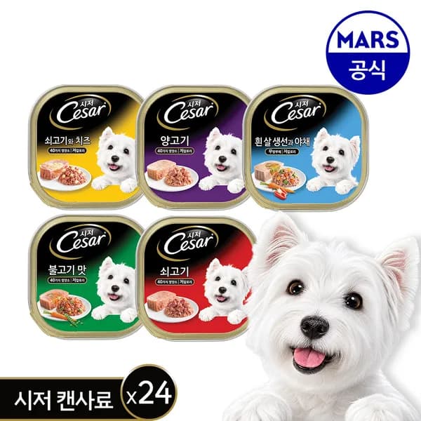 시저 캔 100g x 24개 골라담기