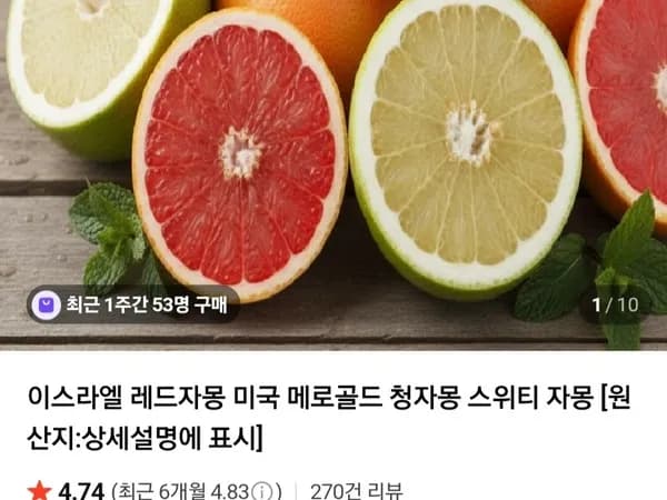 메로골드 청자몽 5.5kg