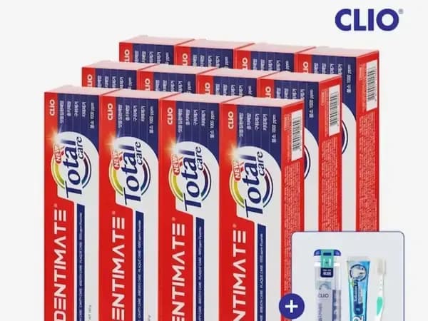 덴티메이트 올인원 토탈케어 치약 150g 12개 휴대용세트