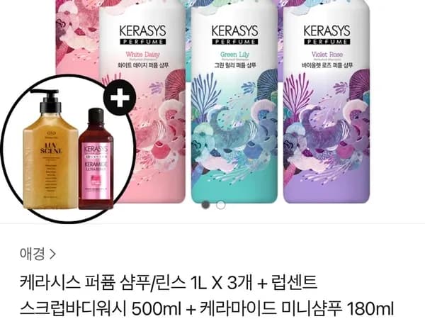 ... etc.). Usually, / is used for options. If I remove it, it might look like it's both. But the prompt is strict about special characters.    *