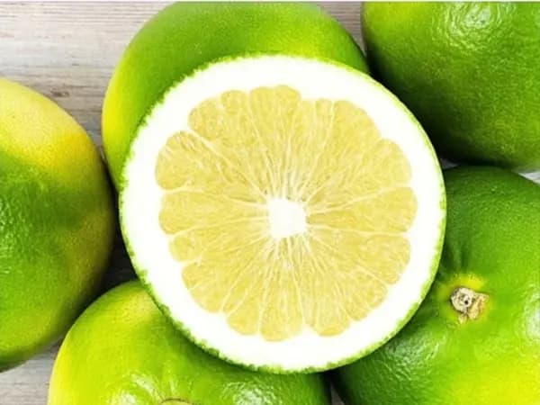 메로골드 청자몽 3500g