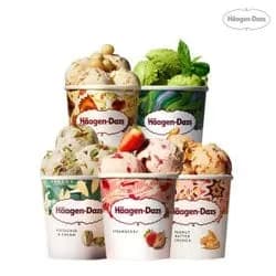하겐다즈 아이스크림 파인트 3개