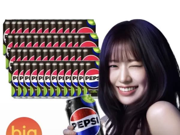 펩시 제로라임 355ml 48캔